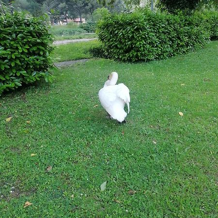 La Cannucciola Piediluco Buitenkant foto