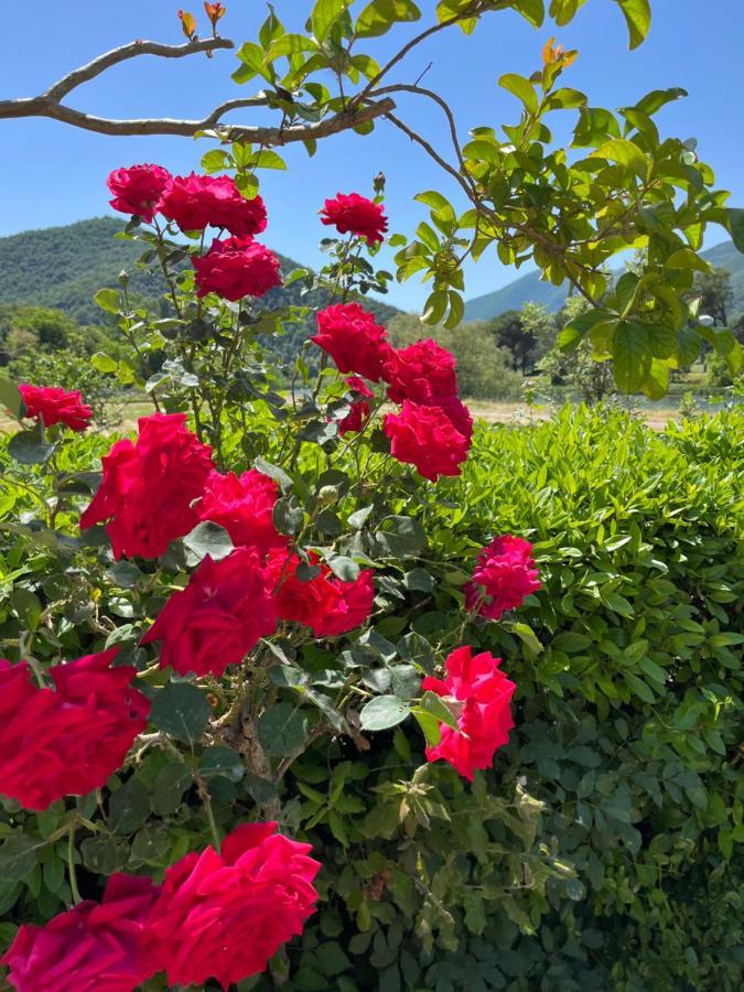 La Cannucciola Piediluco Buitenkant foto