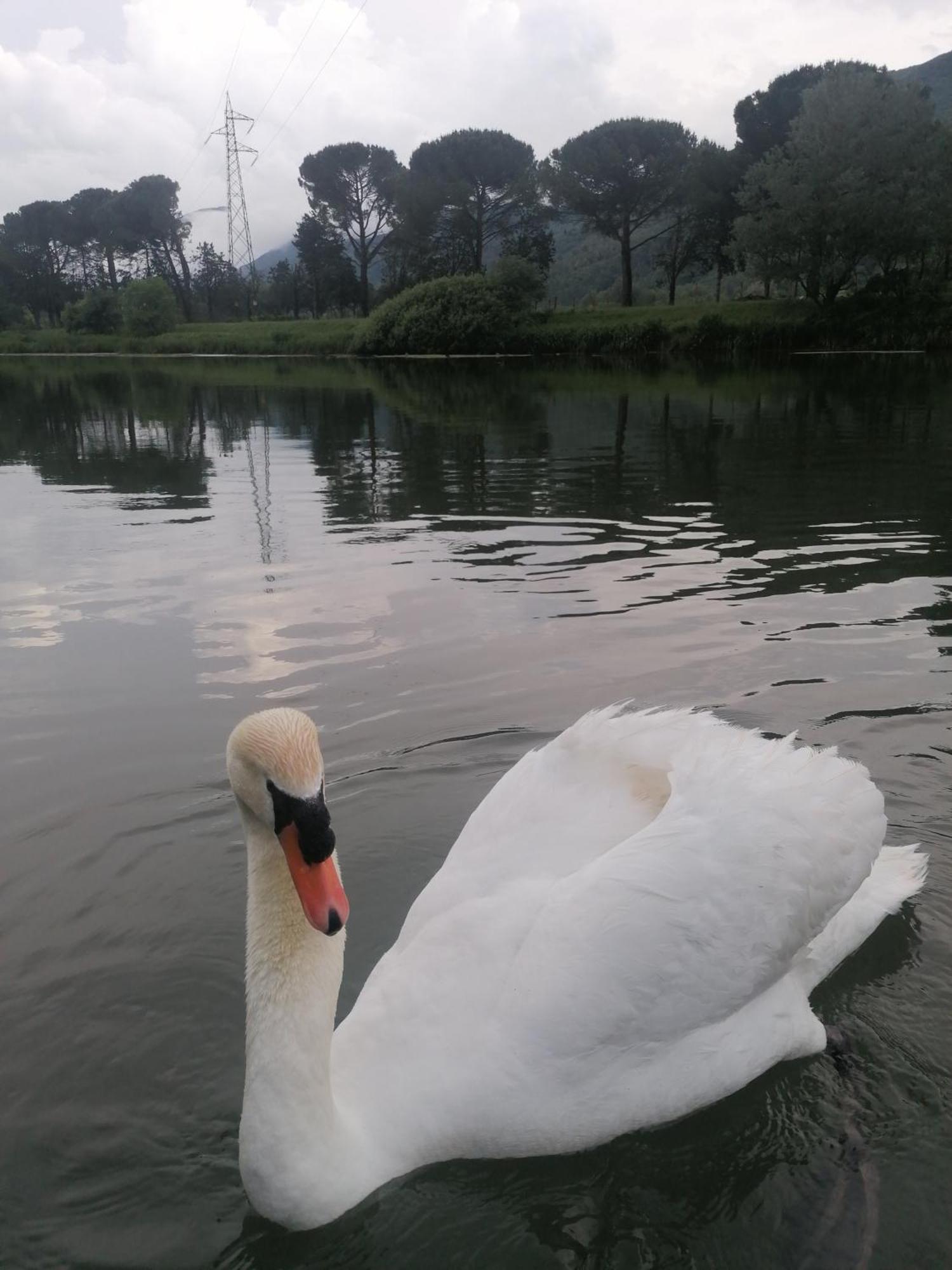 La Cannucciola Piediluco Buitenkant foto