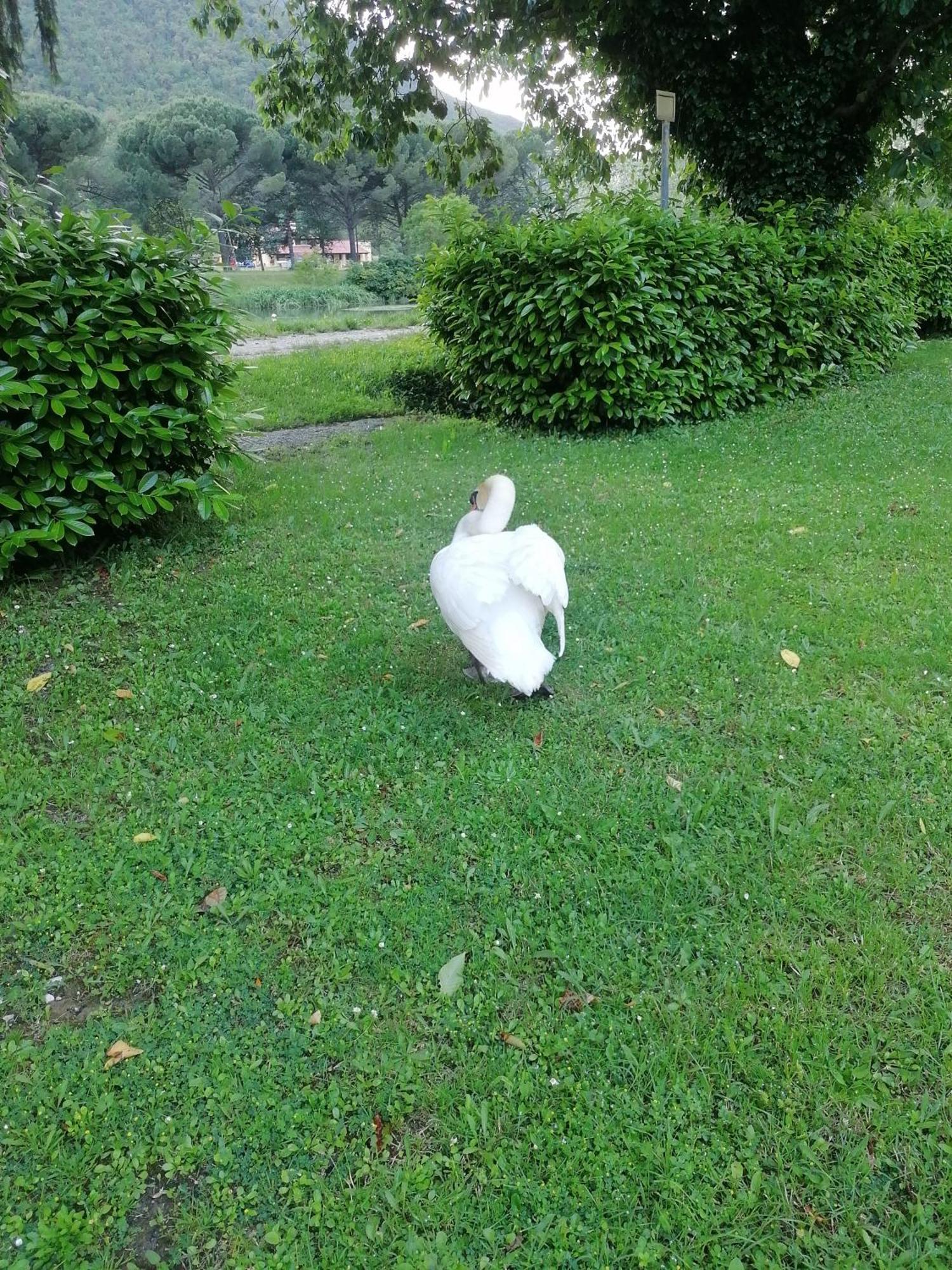 La Cannucciola Piediluco Buitenkant foto